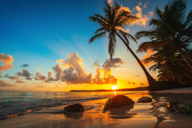 Punta Cana-Rep. Dominicana Costa Brasil Turismo